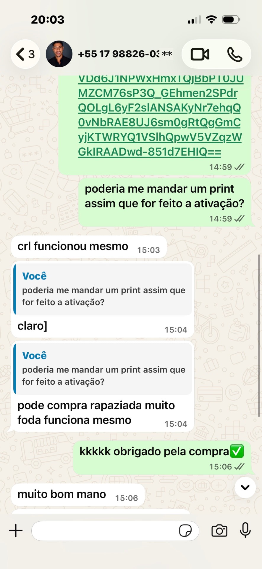 Print de conversa no WhatsApp confirmando a ativação do Google AI Pro 3